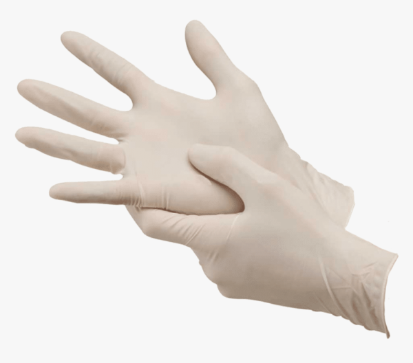 Disposable Glove (box of 50)